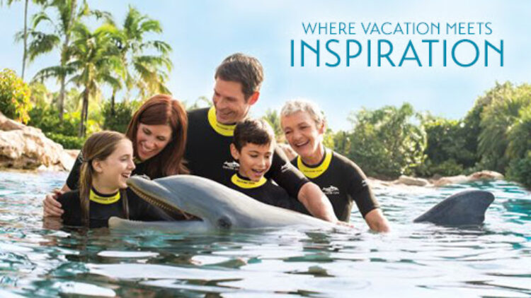 SeaWorld Parks Now Offering Vacation Packages Featuring One Day at the All-inclusive Discovery Cove